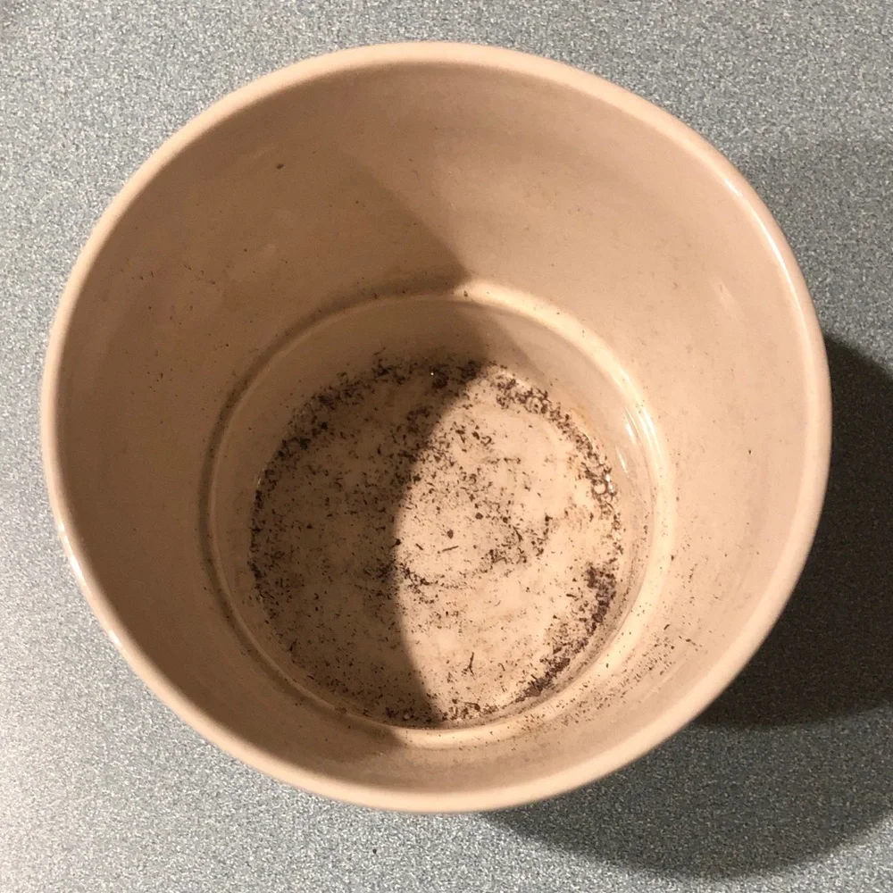 Simple Cream Ceramic Plant Pot